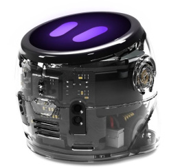 Ozobot Ari zestaw startowy