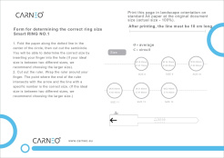 Carneo RING No.1 - rozmiar 10