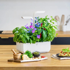 Véritable CLASSIC - biały + 4 nadzienia ziołowe