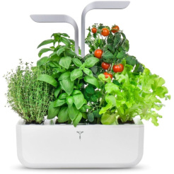 Véritable SMART z kontrolą światła - biały + 4 wkłady ziołowe