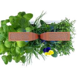 Véritable SMART z kontrolą światła - czarny + 4 wkłady ziołowe