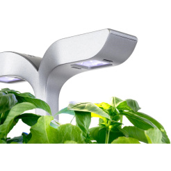 Véritable Exky CLASSIC - biały + 2 nadzienia ziołowe