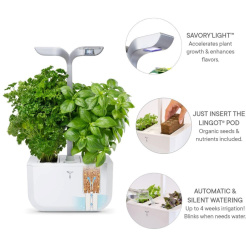 Véritable Exky CLASSIC - biały + 2 nadzienia ziołowe