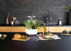 Véritable Exky CLASSIC - biały + 2 nadzienia ziołowe