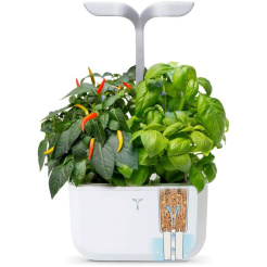 Véritable Exky SMART - biały + 2 wkłady ziołowe