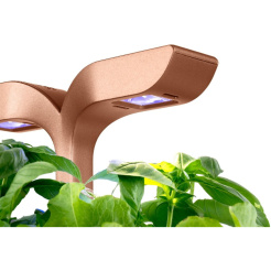 Véritable Exky SMART - czarny + 2 wkłady ziołowe