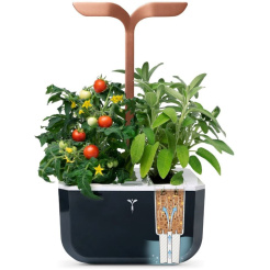 Véritable Exky SMART - czarny + 2 wkłady ziołowe