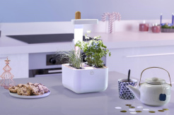 Véritable Botaneo + 2 nadzienia ziołowe