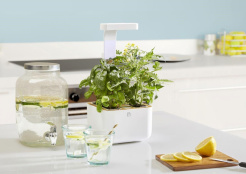 Véritable Botaneo + 2 nadzienia ziołowe