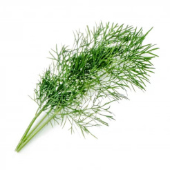 Véritable Lingot Dill - BIO
