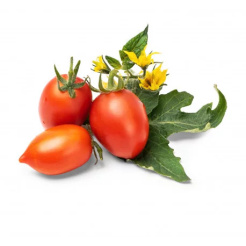 Czerwony mini pomidor Véritable Lingot