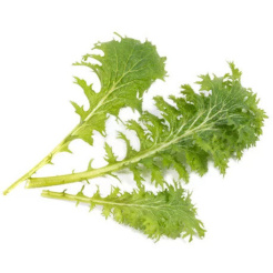 Musztarda Véritable Lingot Wasabi - BIO