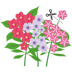 Véritable Lingot Flox