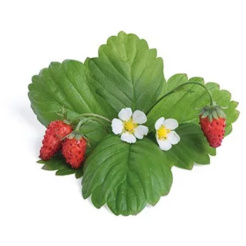 Dzikie czerwone truskawki Véritable Lingot