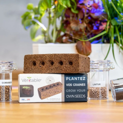 Véritable Lingot - bez nasion