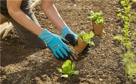 Odpowiednie rękawice do pracy z glebą