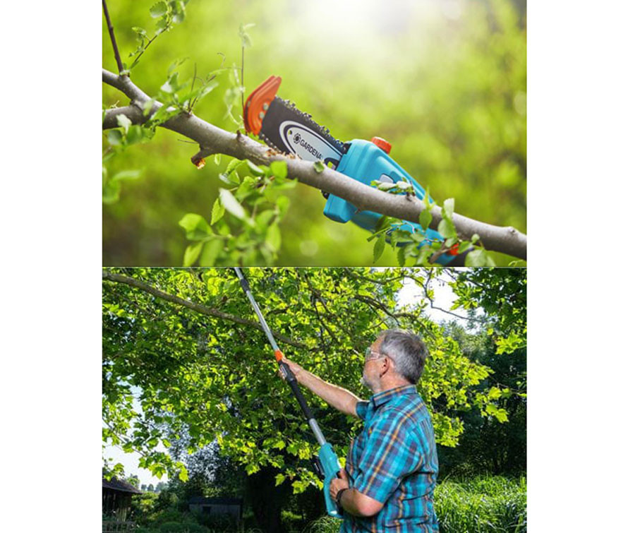 Przycinanie drzew bez drabiny