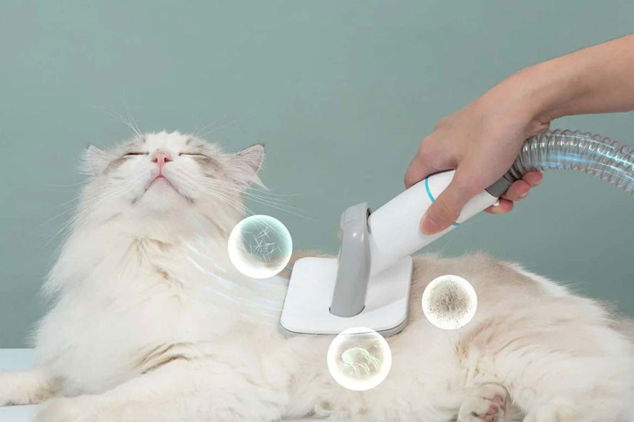 Zdrowszy i czystszy dom