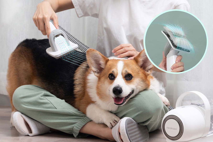 Szczotka do pielęgnacji sierści