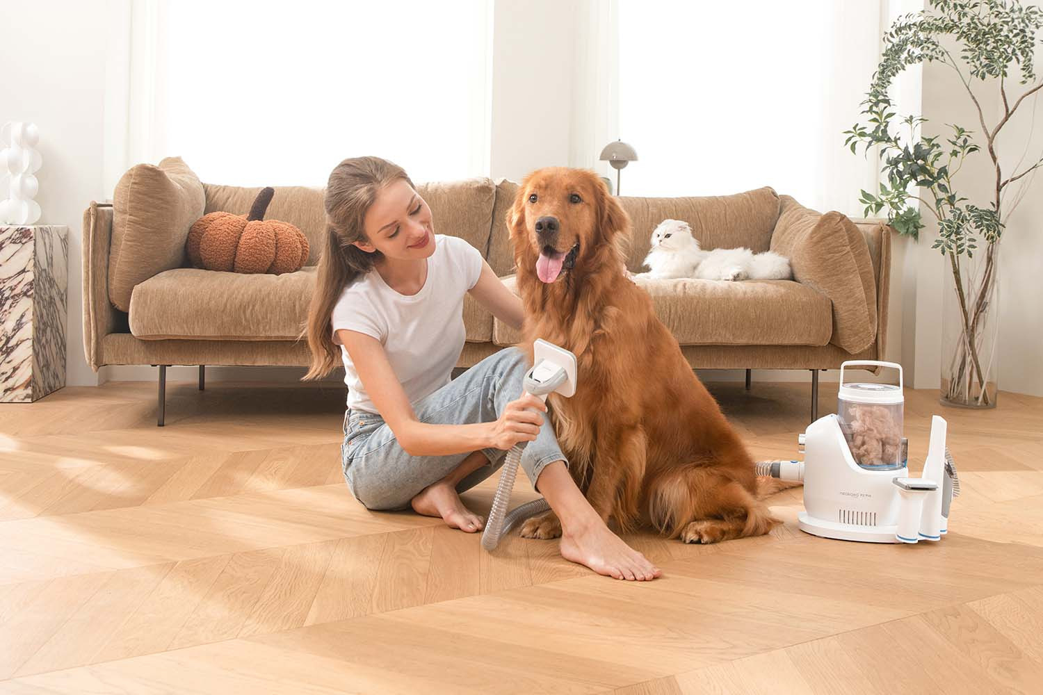 Pielęgnacja psów i kotów