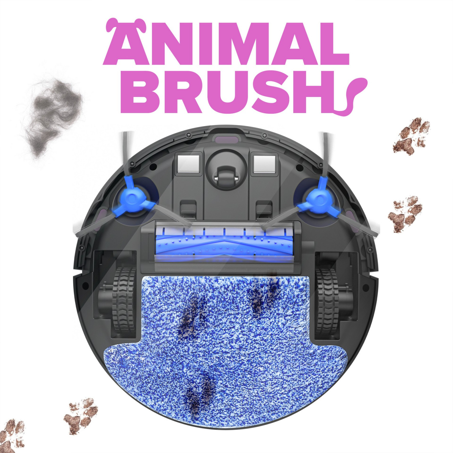 Specjalna szczotka dla zwierząt usuwa brud ze zwierząt domowych