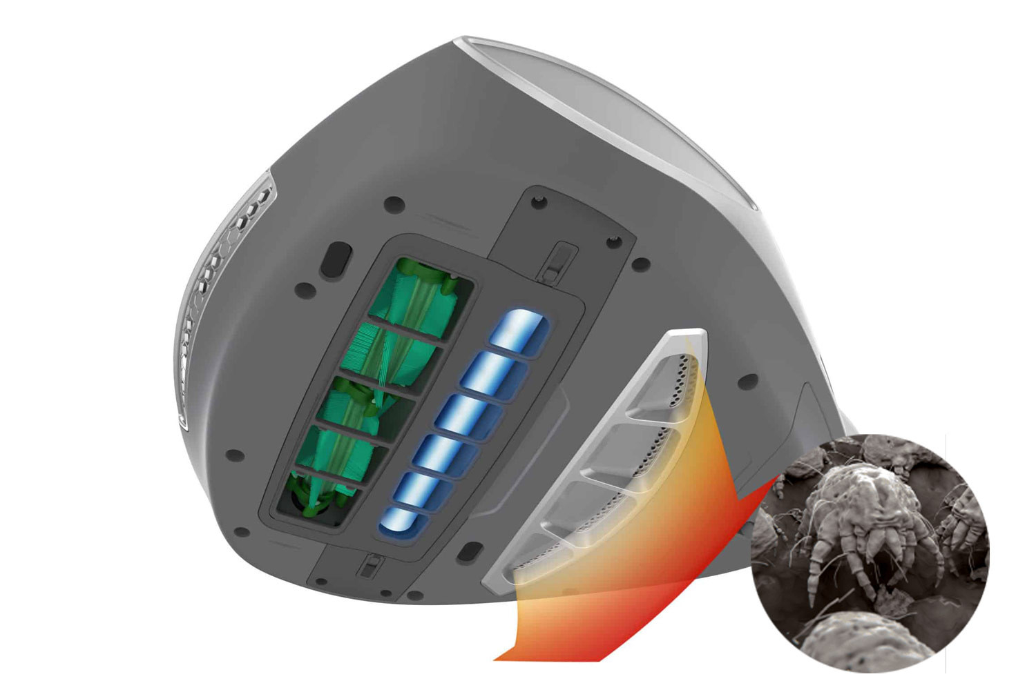 Specjalista od czystego i zdrowego snu