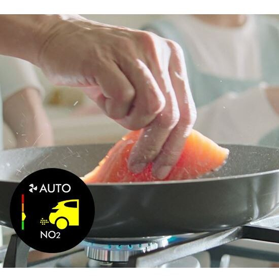 Absorbuje o 50% więcej NO2