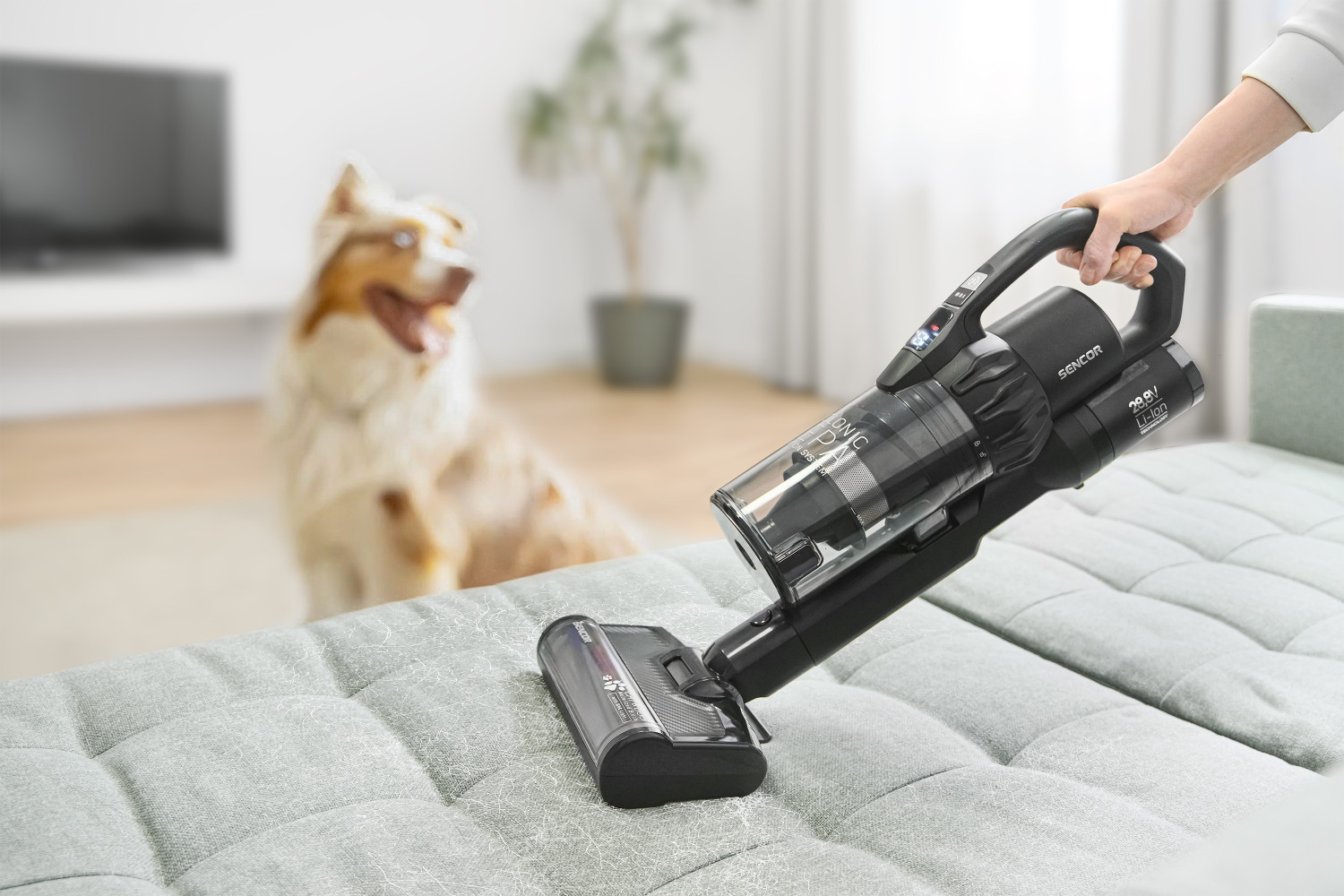 Perfekcyjne usuwanie włosów i sierści