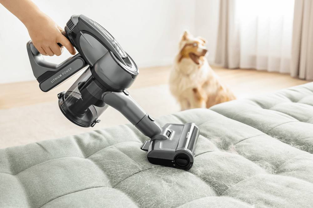 Zwierzę w domu? To żaden problem dla mnie.