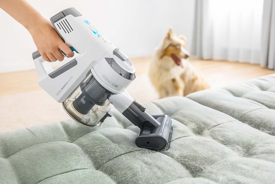 Zmotoryzowana mini szczotka CAT&DOG