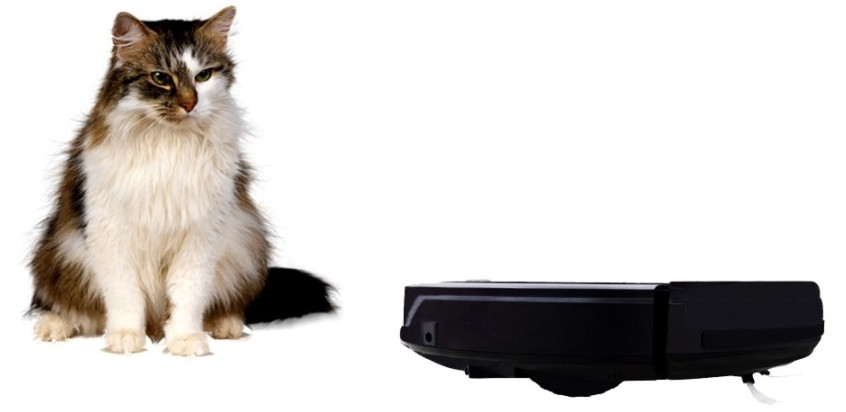 Mały, zręczny, precyzyjny